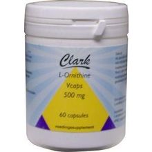 Foto van L-Ornithine