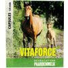 Afbeelding van Vitaforce Paardenmelk capsules