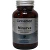 Afbeelding van Circadian Minerva