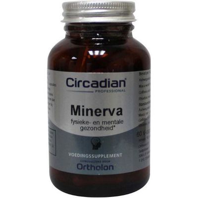 Circadian Minerva