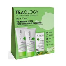 Foto van Teaology Matcha repair hair care kit