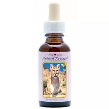 Foto van Animal Essences Mountain lion (poema)
