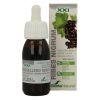 Afbeelding van Soria Natural Ribes nigrum XXI extract