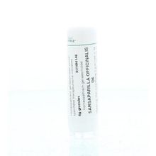 Foto van Homeoden Heel Sarsaparilla officinalis D6