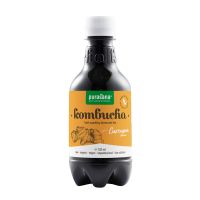 Purasana Kombucha curcuma vegan bio