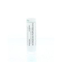 Foto van Homeoden Heel Echinacea purpurea D12