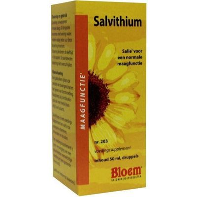 Foto van Salvithium