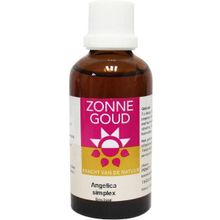 Foto van Angelica simplex