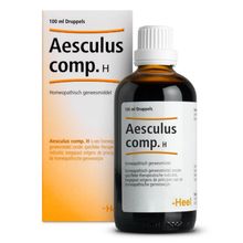 Heel Aesculus compositum H Foto van Heel Aesculus compositum H