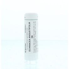 Foto van Homeoden Heel Echinacea angustifolia D6