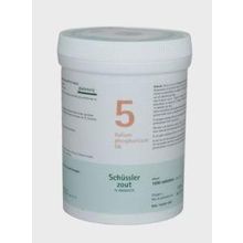 Foto van Pfluger Kalium phosphoricum 5 D6 Schussler