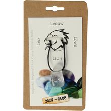 Foto van Sterrenbeeldsteen hanger leeuw