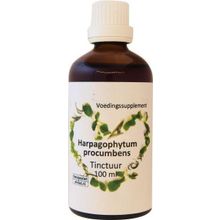 Foto van Harpagophytum procumbens