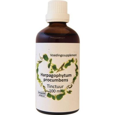 Foto van Harpagophytum procumbens