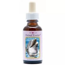 Foto van Animal Essences Dolphin (doflijn)