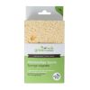 Afbeelding van Greenhub Spons plantaardig 14x9x3,5cm