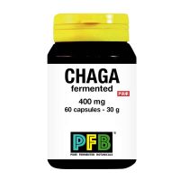 SNP Chaga fermented 400 mg puur