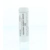 Afbeelding van Homeoden Heel Teucrium marum verum D30