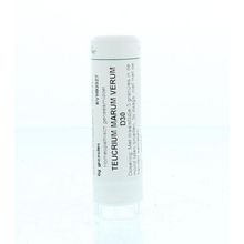 Foto van Homeoden Heel Teucrium marum verum D30