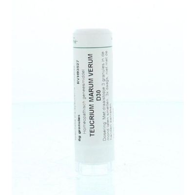 Homeoden Heel Teucrium marum verum D30 6 gram - Homeopathische geneesmiddelen