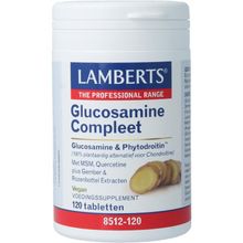 Foto van Lamberts Glucosamine compleet