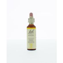 Foto van Gentian / gentiaan