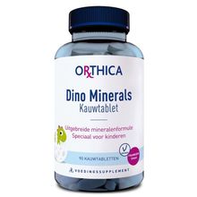 Foto van Orthica Dino minerals