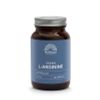 Afbeelding van Mattisson L-Arginine 500mg