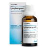 Afbeelding van Heel Lymphomyosot H