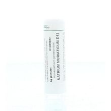 Foto van Homeoden Heel Natrium muriaticum D12