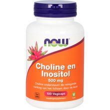 Foto van NOW Choline en inositol 500 mg