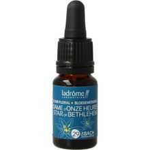 Foto van Ladrome Star of Bethlehem bio