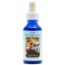 Foto van Animal Essences Robin chick (roodborst)