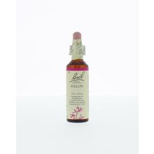 Foto van Willow / wilg