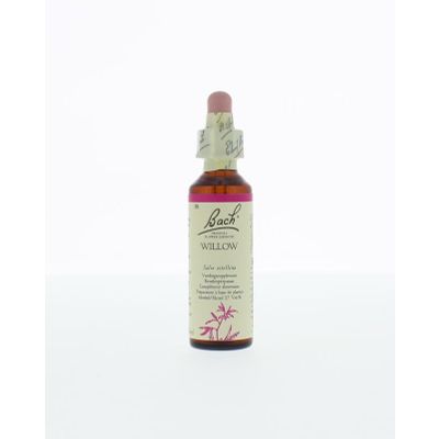 Foto van Willow / wilg