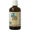 Afbeelding van GO Carpinus betulus bio
