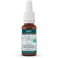 Foto van Lemonpharma Bach Bach bloesems mengeling 47 slaap