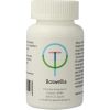 Afbeelding van TW Boswellia+