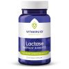 Afbeelding van Vitakruid Lactase optiferm 3000 FCC