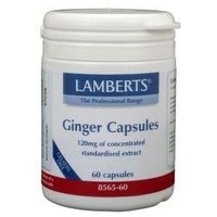 Lamberts Gember (ginger)