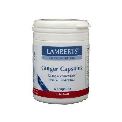 Lamberts Gember (ginger)