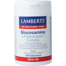 Foto van Lamberts glucosamine & phyto l8516-120