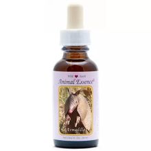Foto van Animal Essences Armadilla (gordeldier)