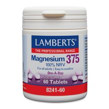 Foto van Lamberts Magnesium 375