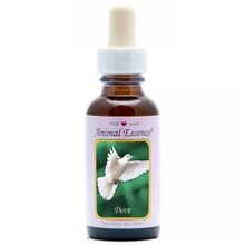 Foto van Animal Essences Dove (duif)
