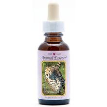 Foto van Animal Essences Cheetah (jachtluipaard)