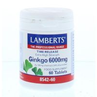 Lamberts Ginkgo 6000 mg