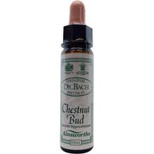 Foto van Chestnut bud Bach