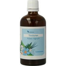 Foto van Balance Pharma Ribes nigrum tincturen