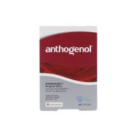 Masqueliers Anthogenol